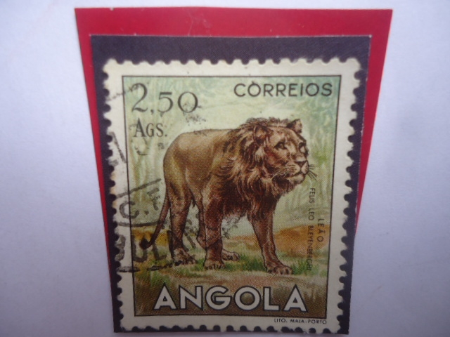León- Leáo - Felis leo Blyenberghi-Serie: Fauna Africana - Sello de 2,50 Angolar Angoleño