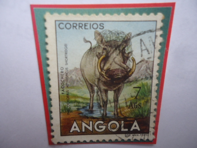 Jabalí - Facochero - Phacochoerus Aethlopicus Shortridgei- Serie:Fauna Africana. Sello de 7 Ags.
