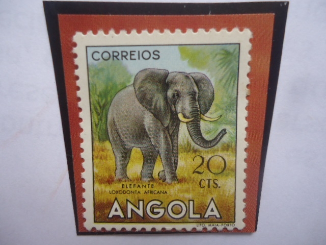 Elefante- Loxodonta Africana- Serie: Fauna Africana- Sello de 20 Ctvos. Angoleño.