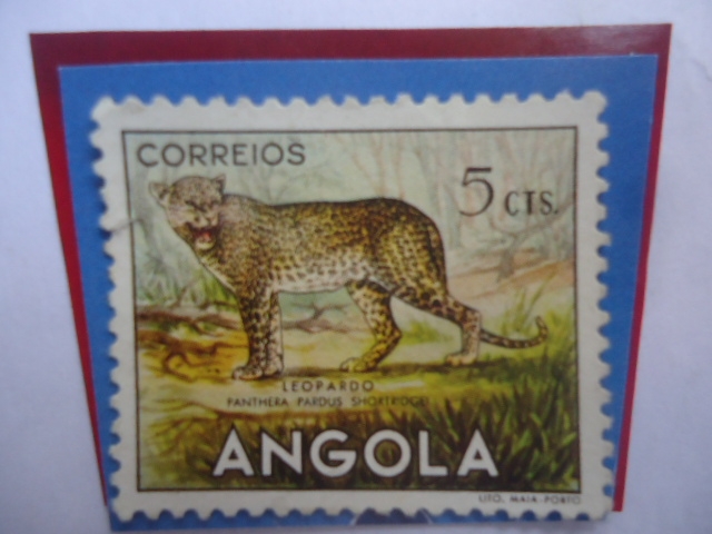 Leopardo - Panthera Pardus Shoortridgel - Serie: Fauna Africana- Sello de 5 Ctvos. Angoleño.