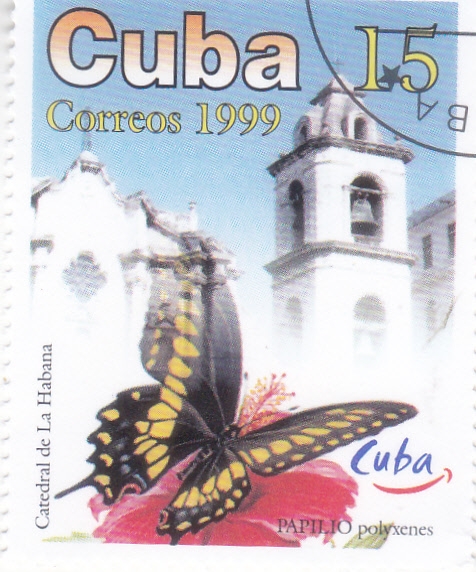 Mariposa y catedral de La Habana