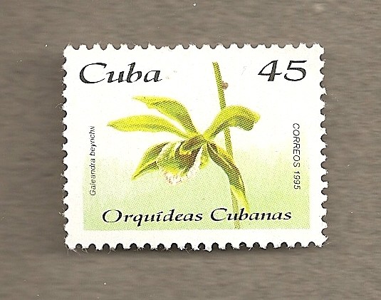 Orquideas cubanas