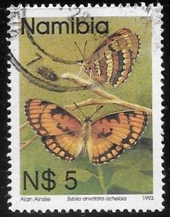 mariposas