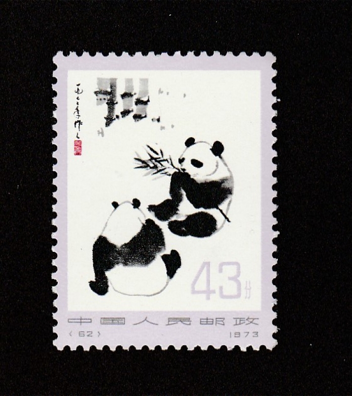 Panda gigante