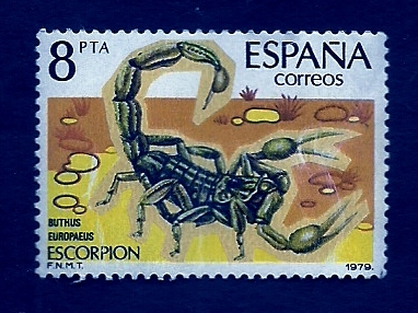 Escorpion