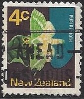 1971 - Puriri Moth (Aenetus virescens)