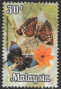 mariposas