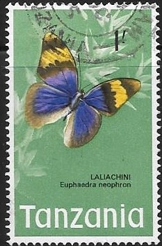 mariposas