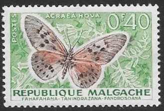 mariposas