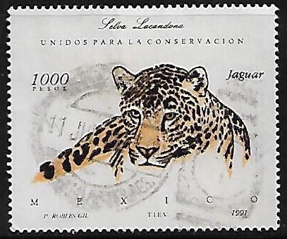Jaguar. Selva Lacadona.