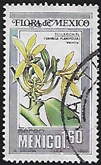 Tlilxóchitl, flor de la vainilla.