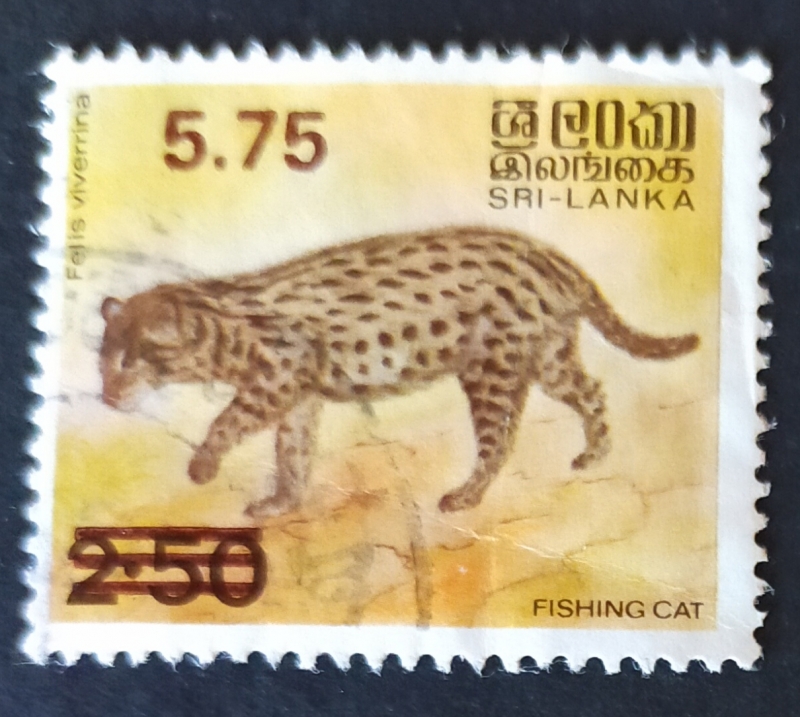 Fauna salvaje