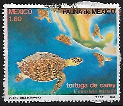 Tortuga de carey.