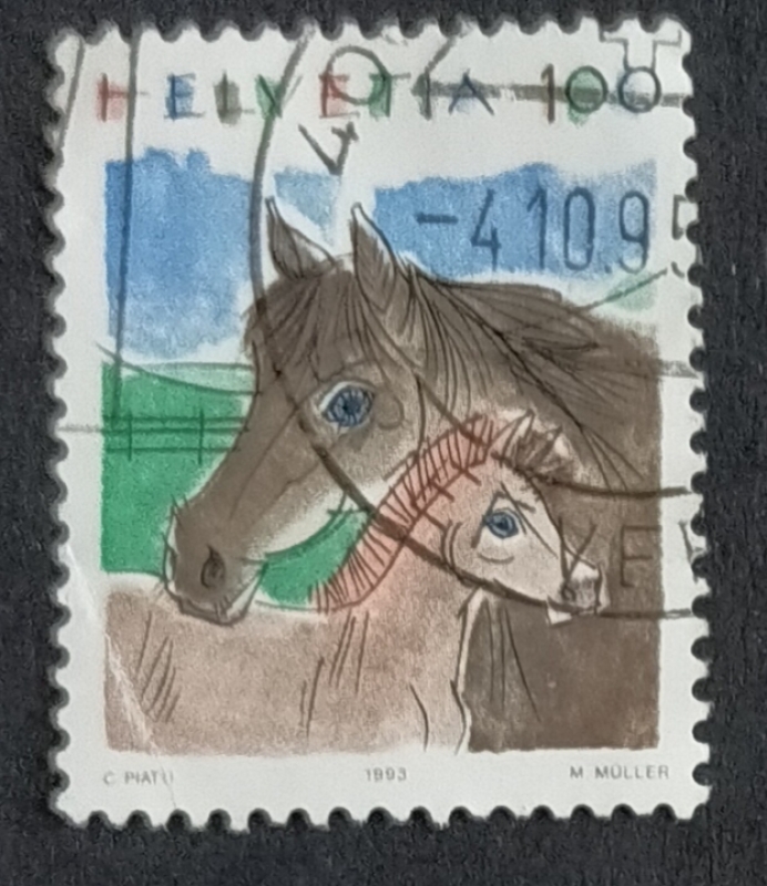 Caballos