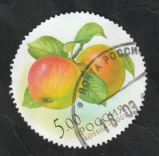 6751 - Manzanas