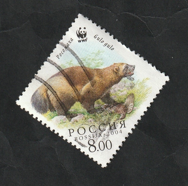 6821 - WWF, protección de la Naturaleza