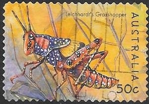 insectos
