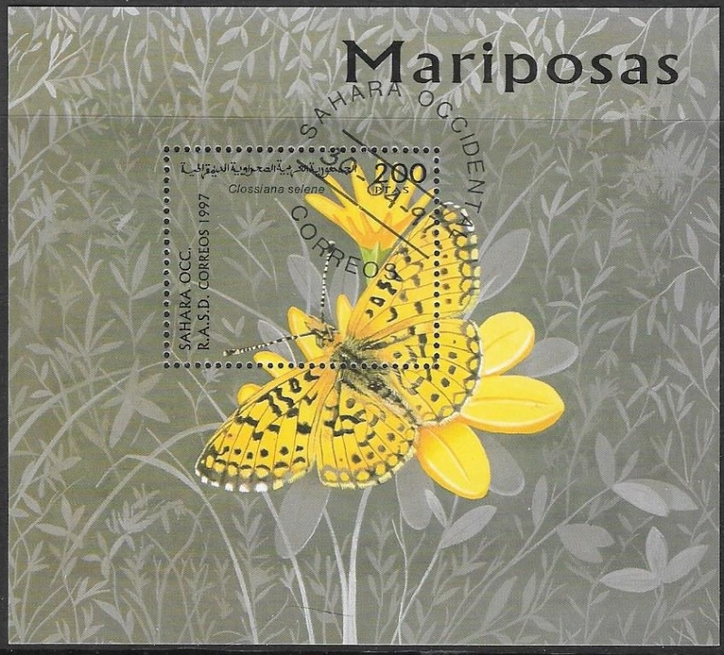 mariposas