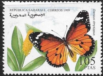 mariposas