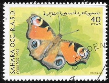 mariposas