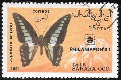 mariposas