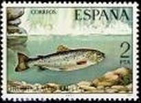 ESPAÑA 1977 2404 Sello Nuevo Serie Fauna Hispanica Peces Trucha
