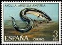 ESPAÑA 1977 2405 Sello Nuevo Serie Fauna Hispanica Peces Anguila