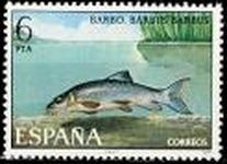 ESPAÑA 1977 2407 Sello Nuevo Serie Fauna Hispanica Peces Barba