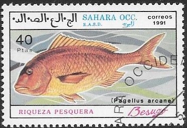 peces