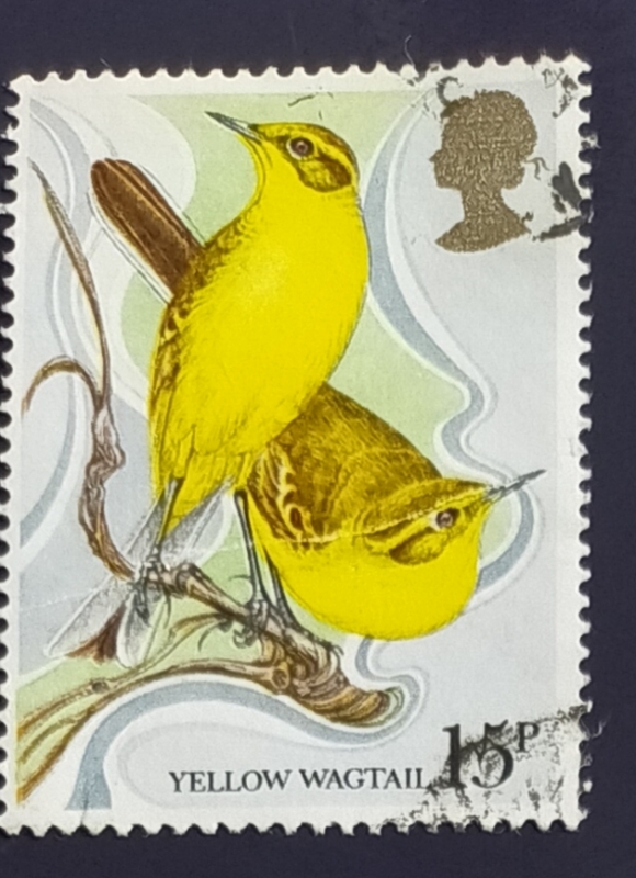 Pajaros