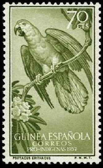 Guinea Española 367 ** Loros