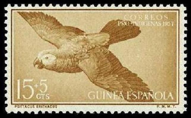 Guinea Española 366 ** Loros