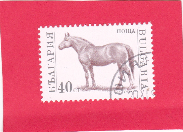 caballo