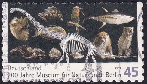 200 años museo de historia natural_Berlin