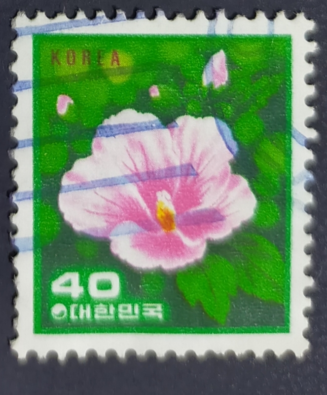 Hibiscus syriacus)
