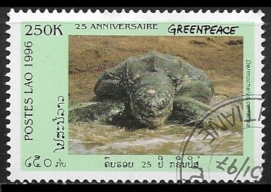 25 aniversario GreenPeace - Dermochelys coriacea