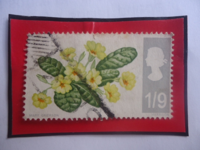Prímulas (Phosthor) - Flor Silvestre- Sello 1' 9 Chelín Británico