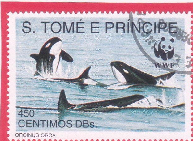 ORCAS