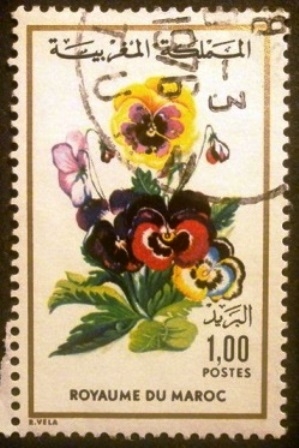 Flores. Viola wittrockiana