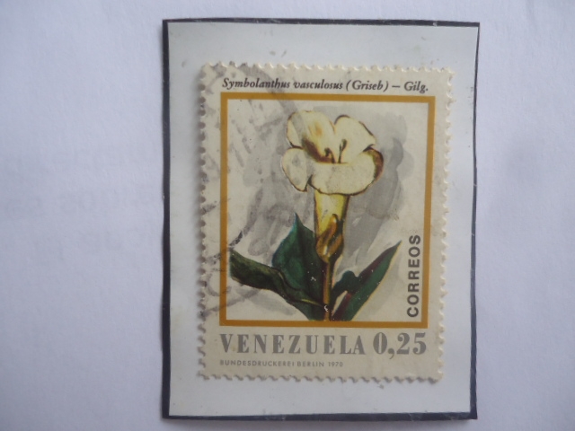 Symbolanthus vasculosus (Griseb)-Gilg- Serie: Flores de Venezuela.