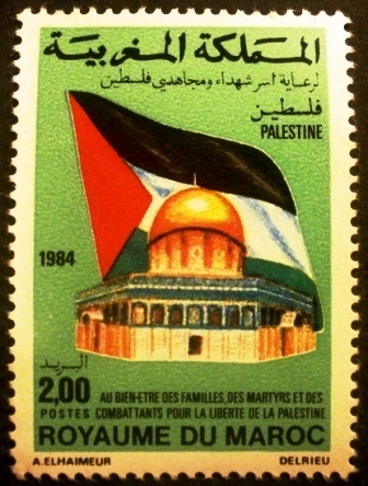 Pro-Palestina 