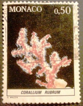 Corales. Corallium rubrum