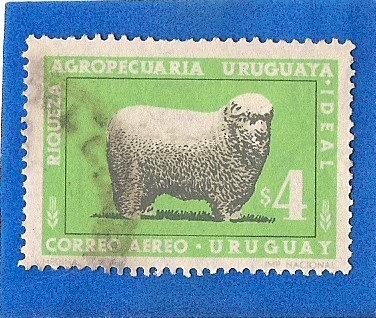 Riqueza Agropecuaria Urugauya