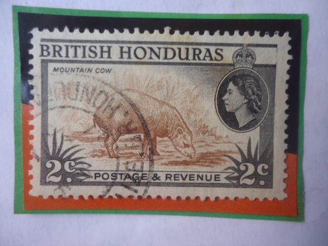 British Honduras- Mountain Cow- Tapir Centroamericano (Tapirus bairdii)-Sello de 2 Ct Honduras Britá