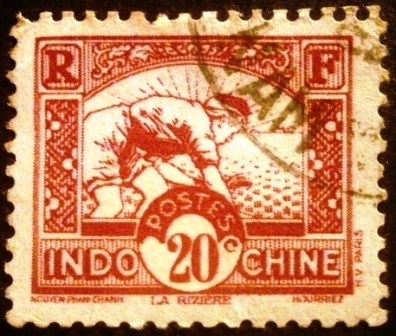 Indochina Francesa. Arrozal