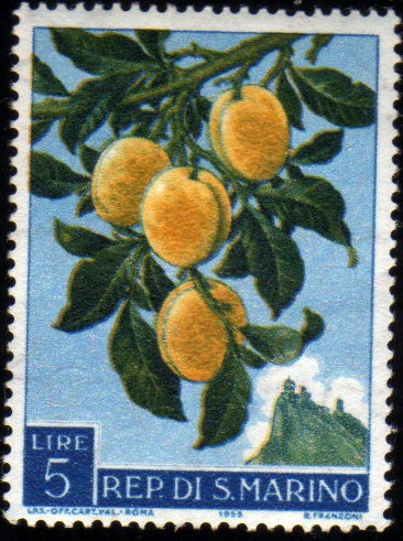 Agricultura-1958