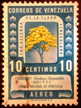 Pro-defensa de la flora venezolana 