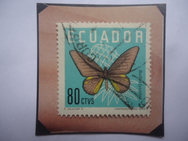 Mariposa Cola de Golondrina de Cramer (Battus Lycidas)- Sello de 80 Ctvs. Año 1961