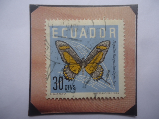 Papilio Torquatus Leptalea- Serie: Mariposas 1961- sellos de 30 Ctvs.