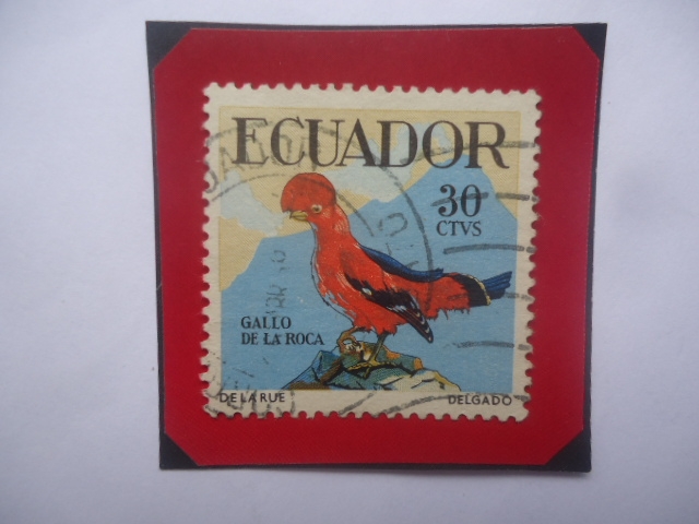Gallo de la Roca (Rupicola peruvianus)- Serie Pájaros tropicales- Sello de 30 Ctvs. Año 1958